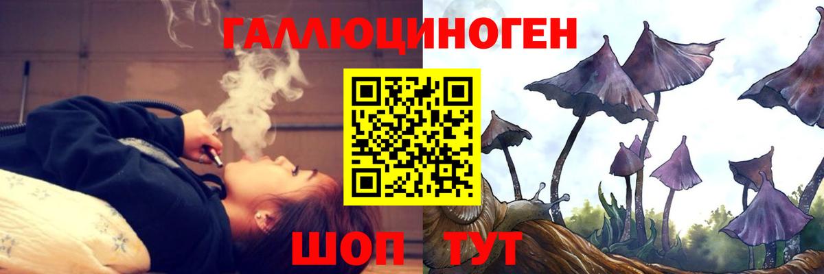 Кохма  Галлюциногенные грибы мухоморы  Вход с VPN 